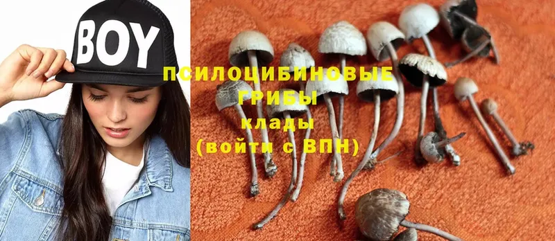 Галлюциногенные грибы Cubensis  Дюртюли 